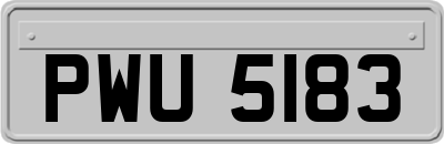 PWU5183