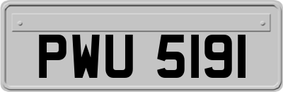 PWU5191