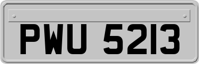 PWU5213