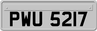 PWU5217