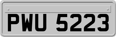 PWU5223