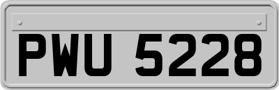 PWU5228