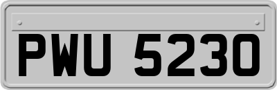 PWU5230