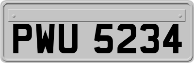 PWU5234