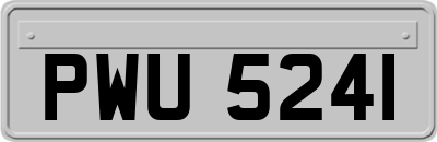 PWU5241