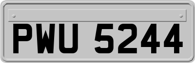 PWU5244