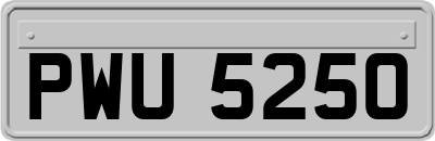 PWU5250