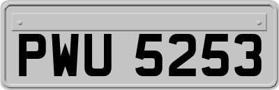 PWU5253