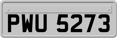 PWU5273