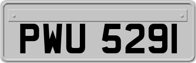 PWU5291