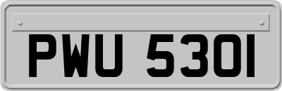PWU5301
