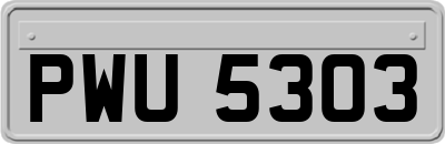 PWU5303