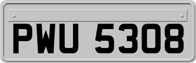 PWU5308
