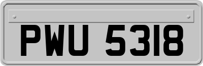 PWU5318