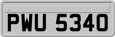 PWU5340