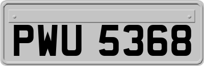 PWU5368