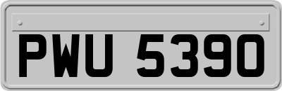 PWU5390