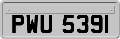 PWU5391