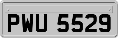 PWU5529