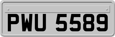 PWU5589