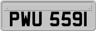 PWU5591