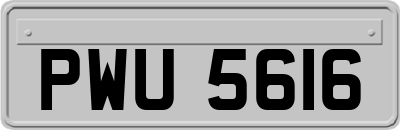 PWU5616