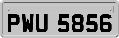 PWU5856