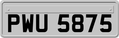 PWU5875