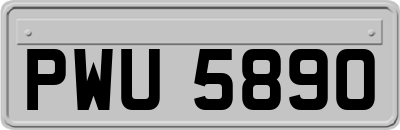 PWU5890