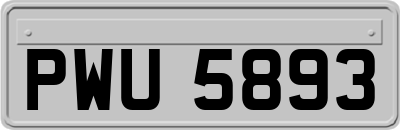 PWU5893