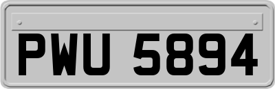 PWU5894