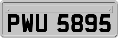 PWU5895