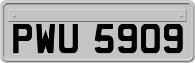 PWU5909