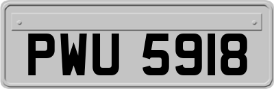 PWU5918