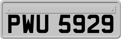 PWU5929