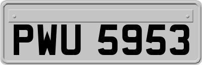 PWU5953