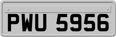 PWU5956