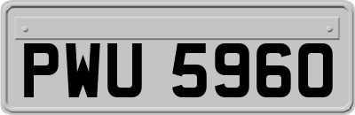 PWU5960