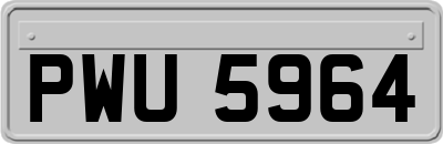 PWU5964