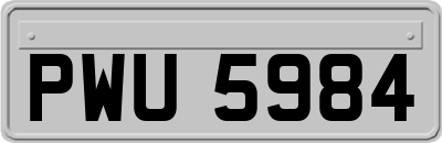 PWU5984