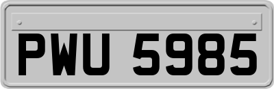 PWU5985