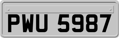 PWU5987