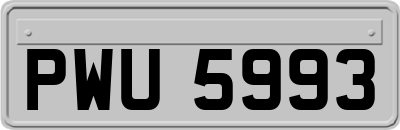 PWU5993