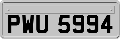 PWU5994