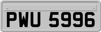 PWU5996