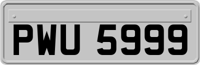 PWU5999