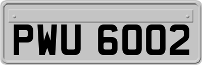 PWU6002