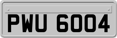 PWU6004