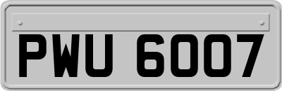 PWU6007