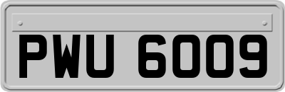 PWU6009